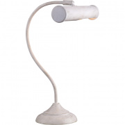 Настольная лампа Arte Lamp Picture Lights Basic A5023LT-1WG